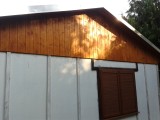 drevo_12