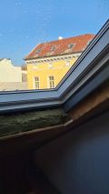 drevo_43
